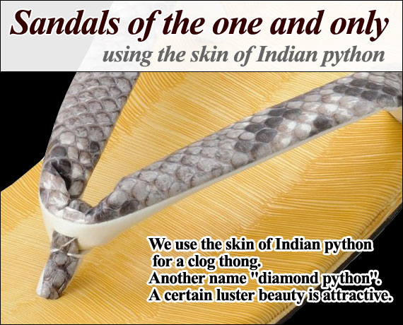 Leather-soled sandals(python)